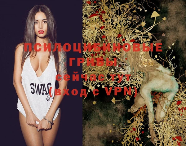 молекула духа Алексин
