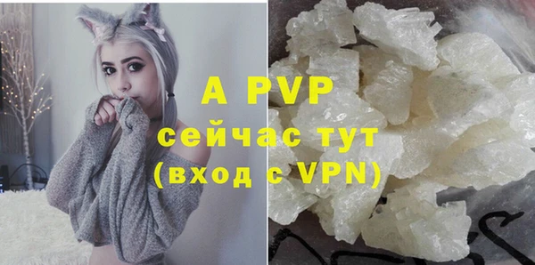 молекула духа Алексин
