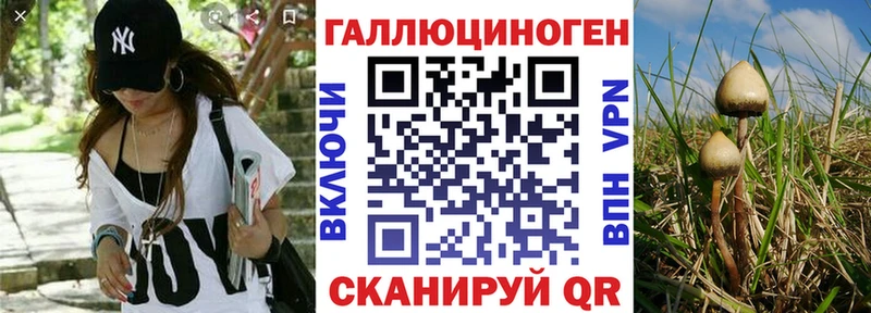 купить наркотики цена  Щигры  Псилоцибиновые грибы Cubensis 